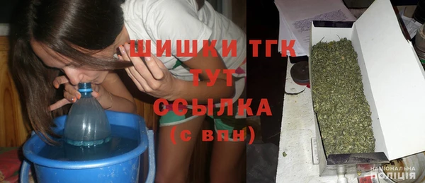 стаф Богородск