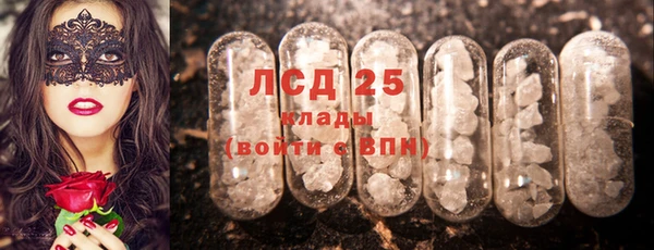 PSILOCYBIN Бронницы