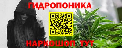 дживик Ливны