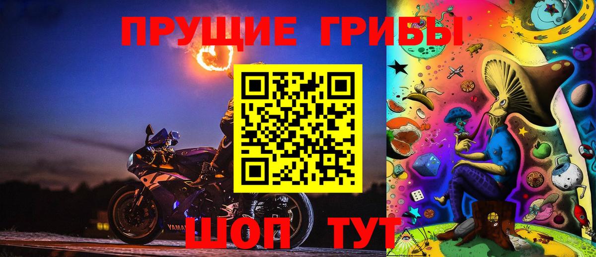 купить  цена  Псилоцибиновые грибы мицелий  Городец  Вход с VPN  Псилоцибиновые грибы Psilocybe 